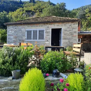  Lodge Bujtina Lugina E Vjoses Albanie